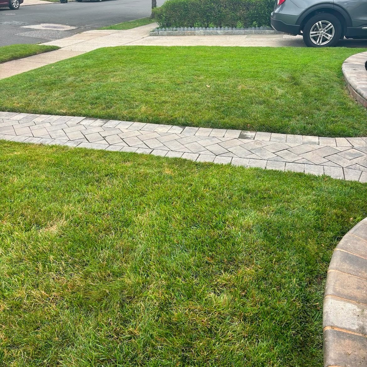 Landscaping Work 4